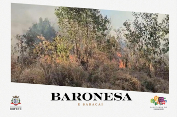 Foto relacionada - Queimadas atingem os bairros Baronesa e Saracaí
