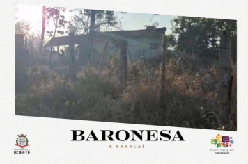 Foto relacionada - Queimadas atingem os bairros Baronesa e Saracaí