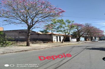 Prefeitura realiza podas de árvores como medida preventiva