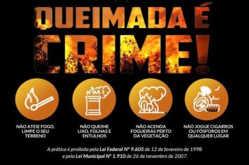 QUEIMADA É CRIME! DENUNCIE!