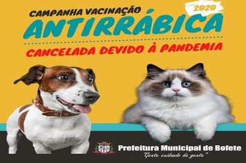 Campanha de vacinação antirrábica 2020 é adiada