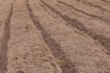 Levantamento de canteiros 