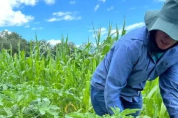 Assistência técnica ao produtor 