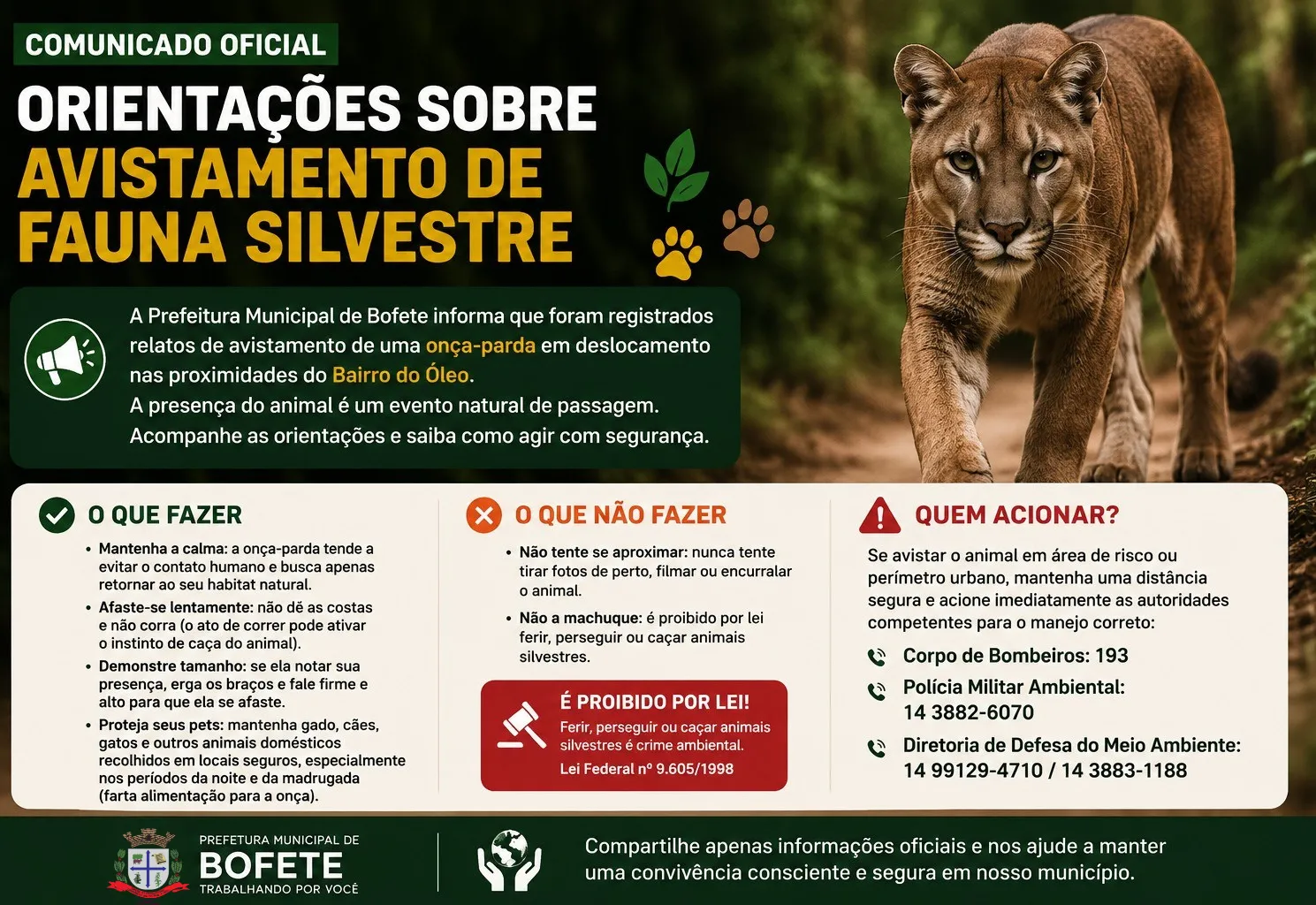 FAUNA SILVESTRE NO MEIO URBANO DE BOFETE