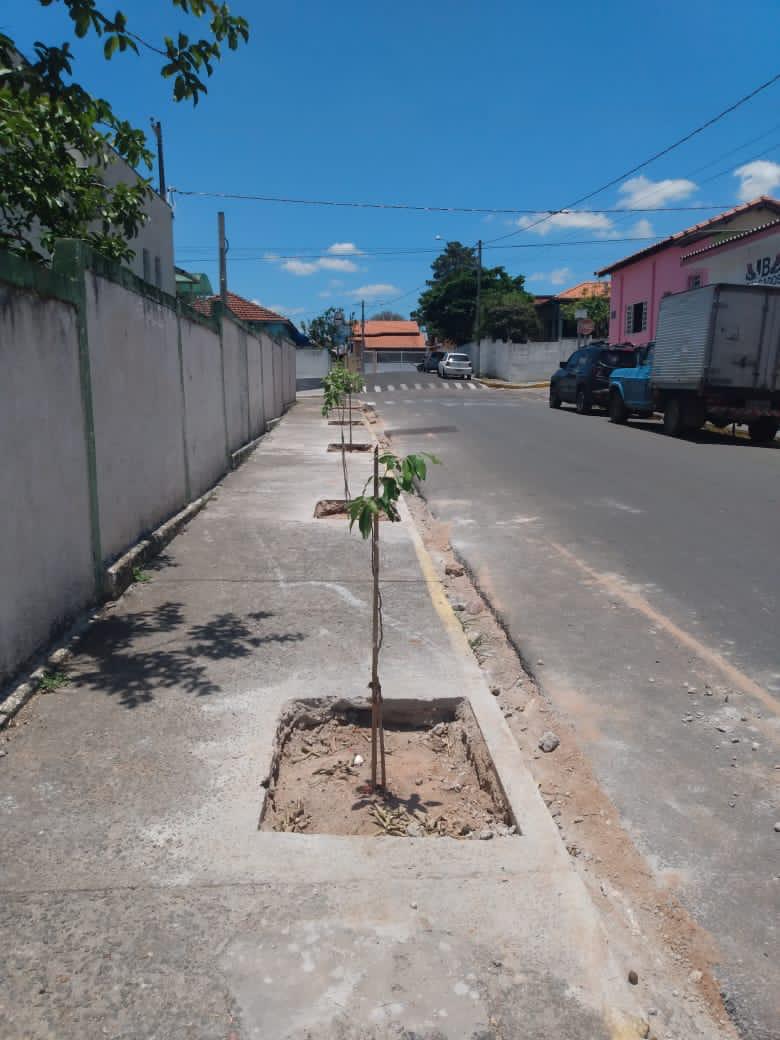 Meio Ambiente em ação